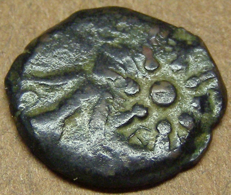 fods mite 4.JPG
