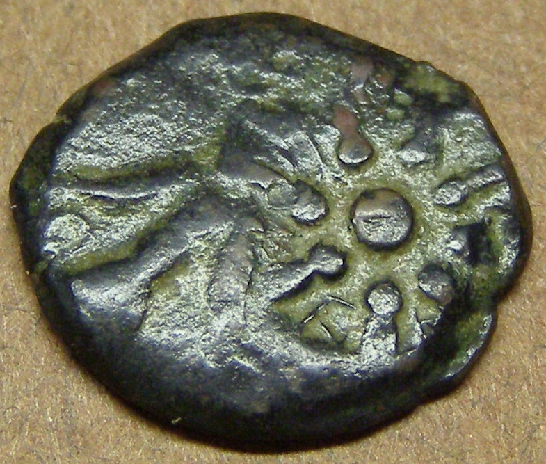 fods mite 5.JPG