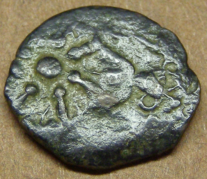 fods mite s2 2.JPG