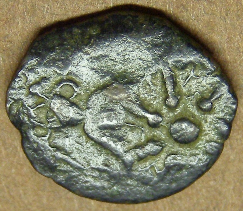 fods mite s2 3.JPG