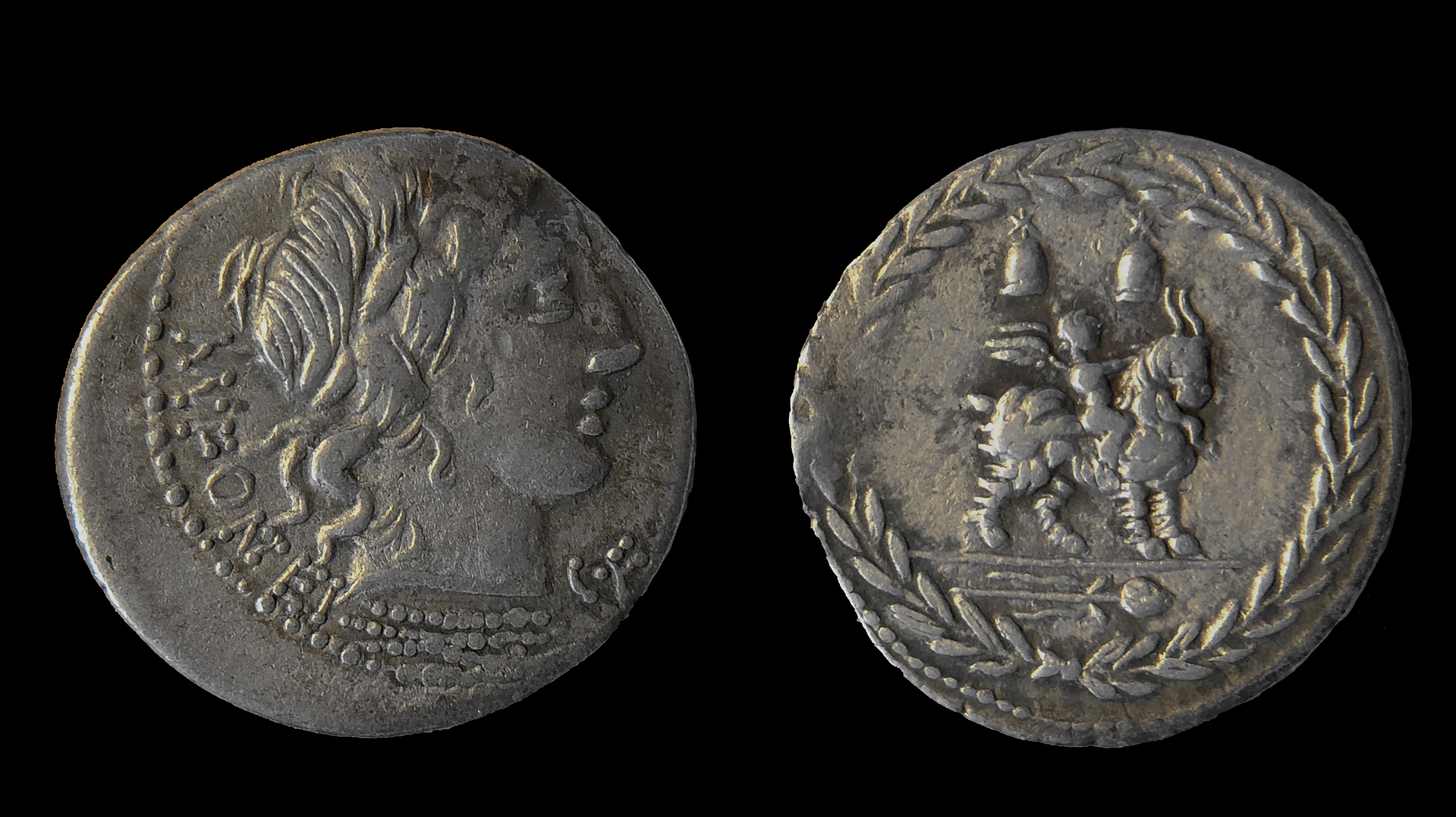 Fonteius copy.png