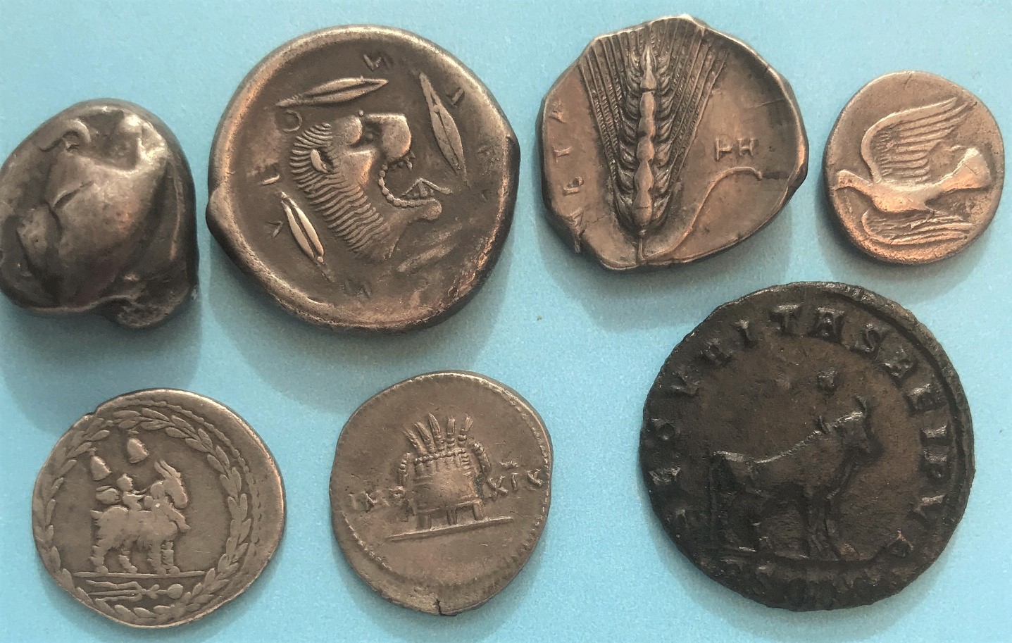 Food coins rev..jpg