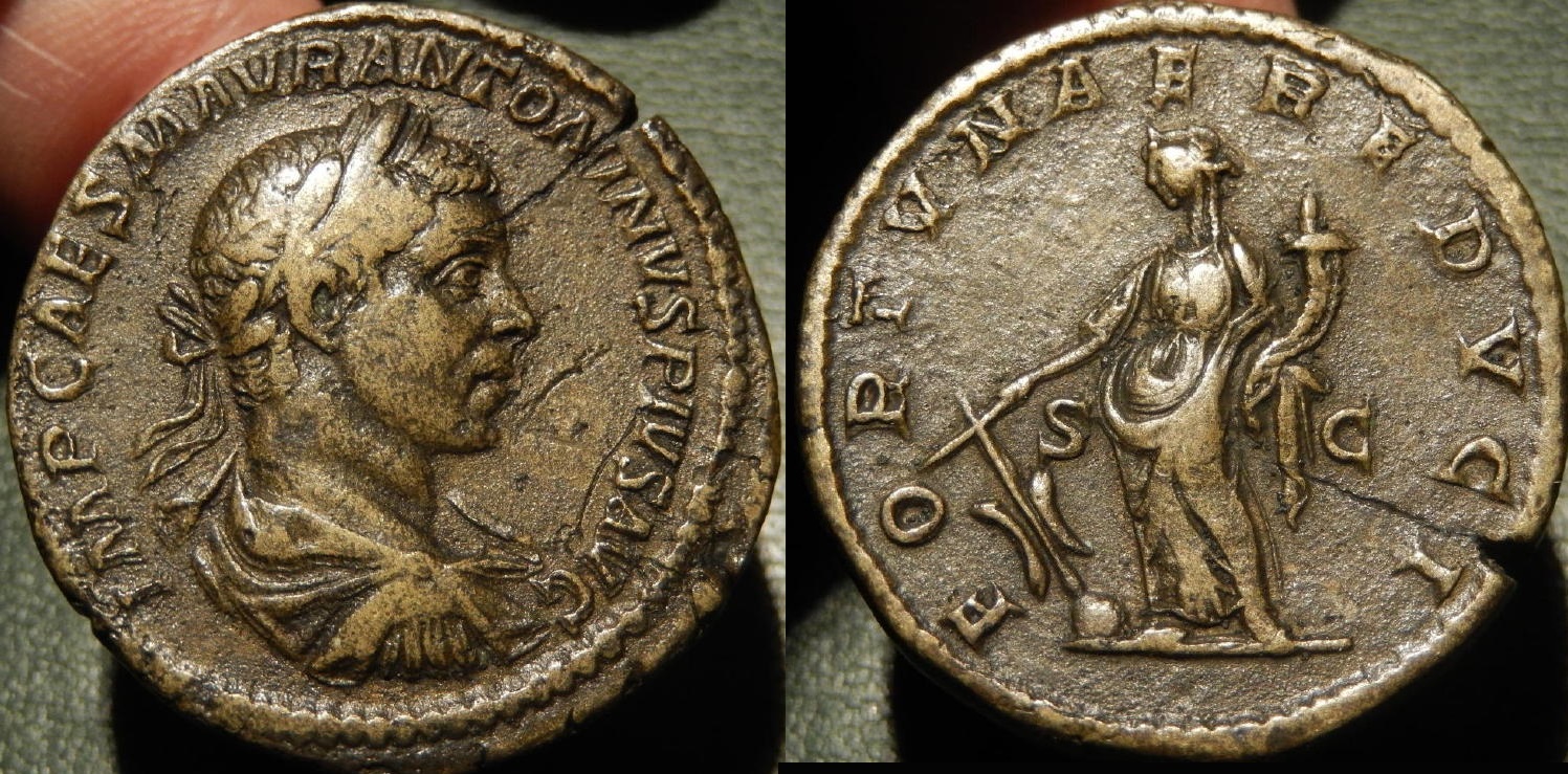 fortuna).jpg