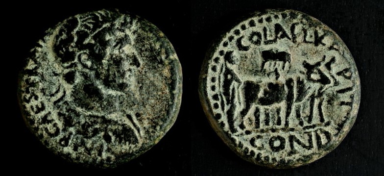 Foundation Coin (2).jpg