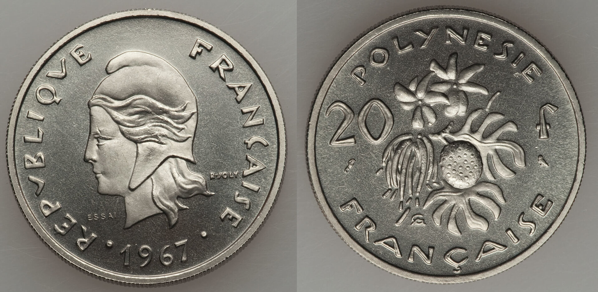 FPol196713.jpg