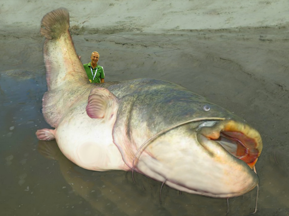 Frank-and-Catfish-1000a.jpg