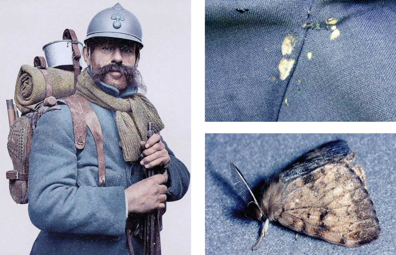 FRENCH.jpg