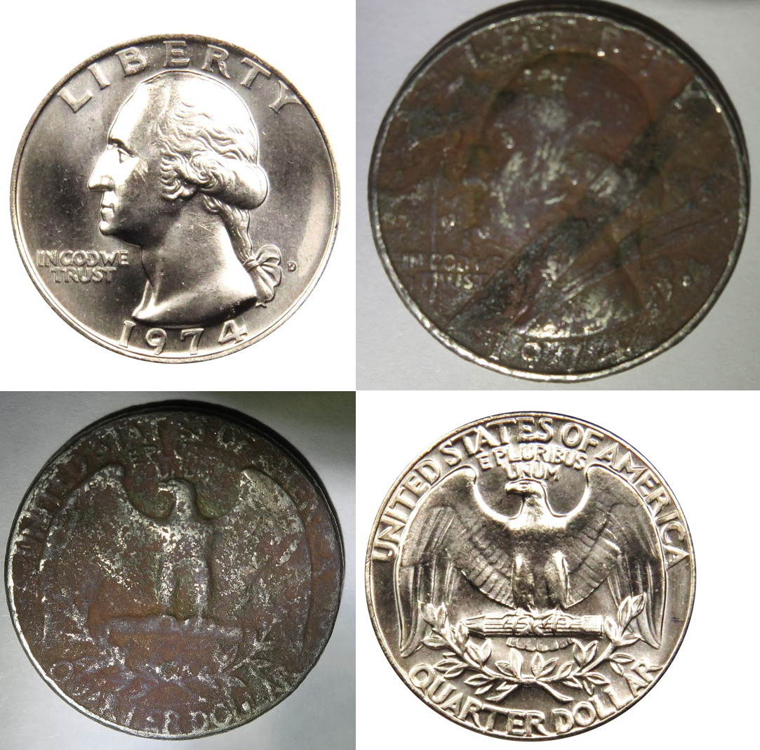 Front and Back Comparisons.png