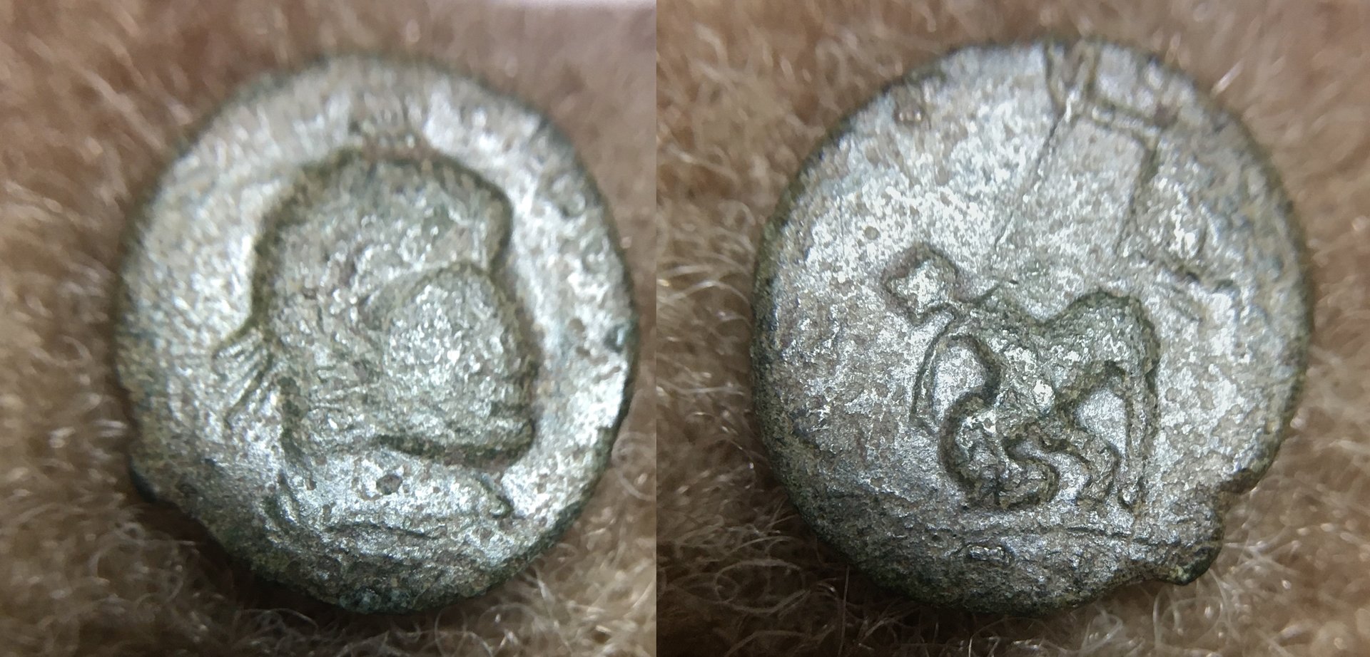 FTR Barb Imitation 1 (2020_11_18 03_38_31 UTC).JPG