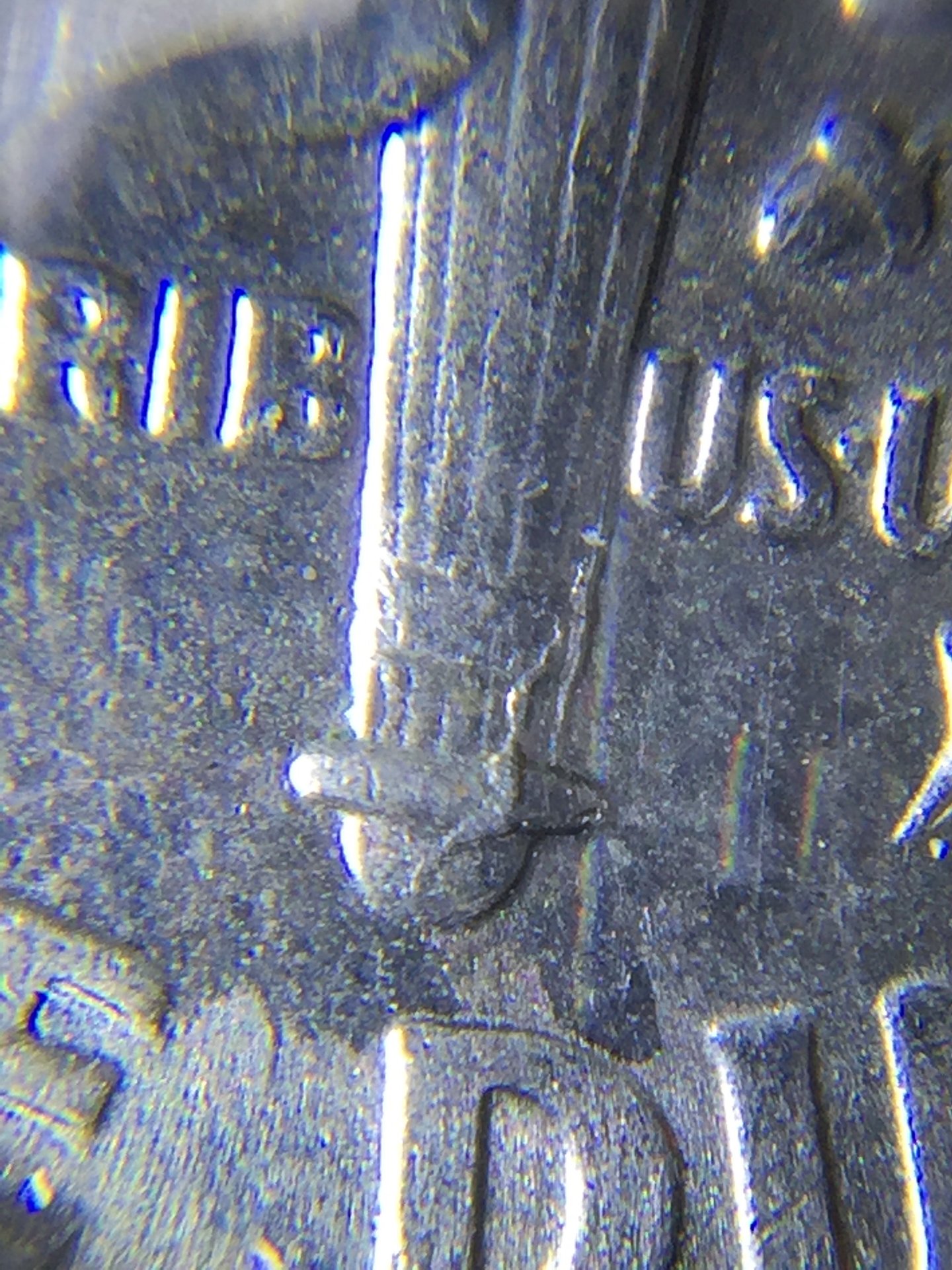 FullSizeRender-6.jpg