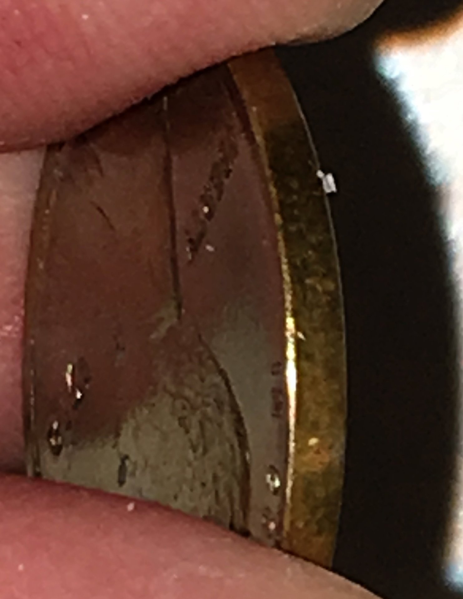 FullSizeRender.jpg