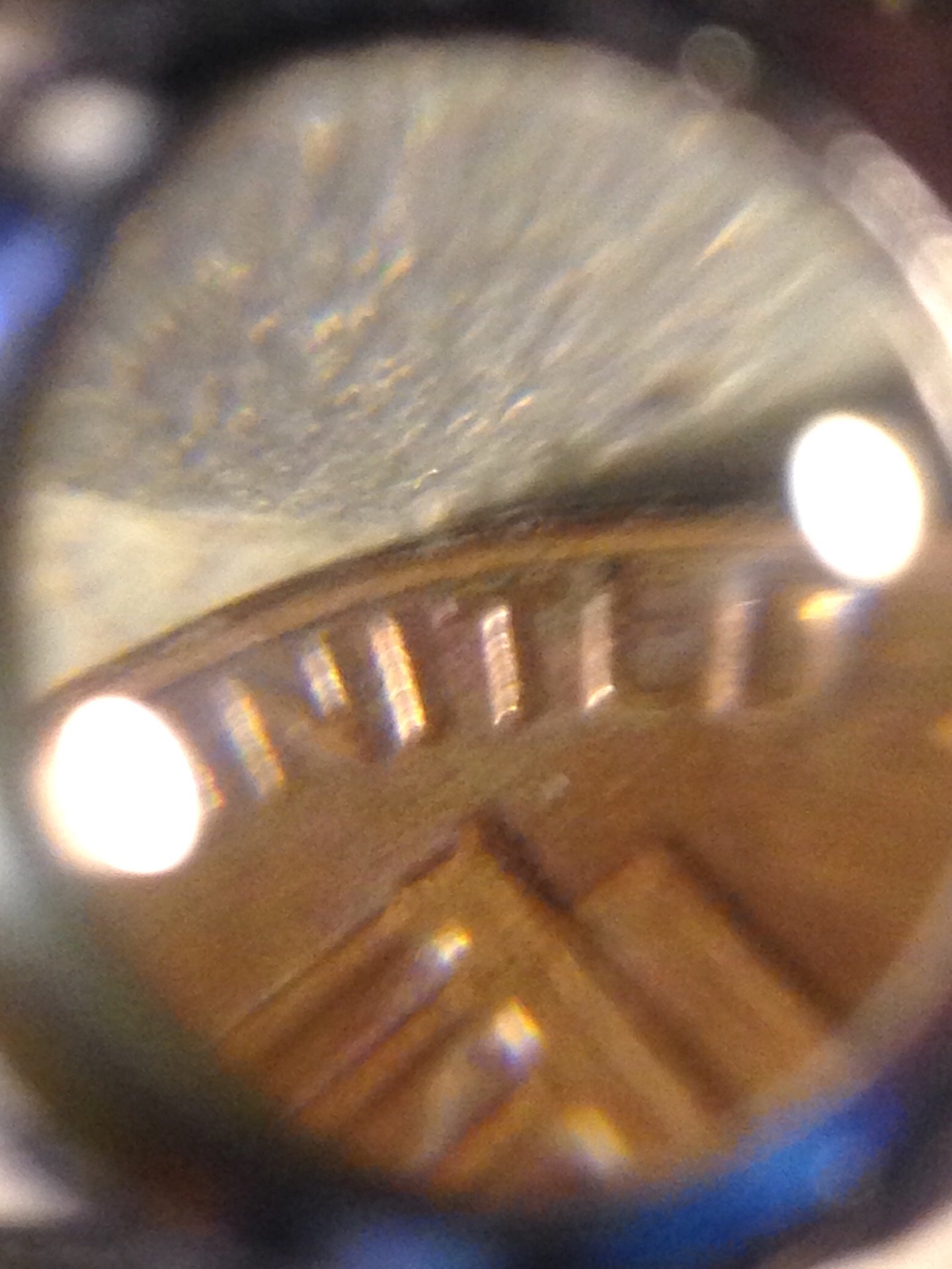 FullSizeRender.jpg