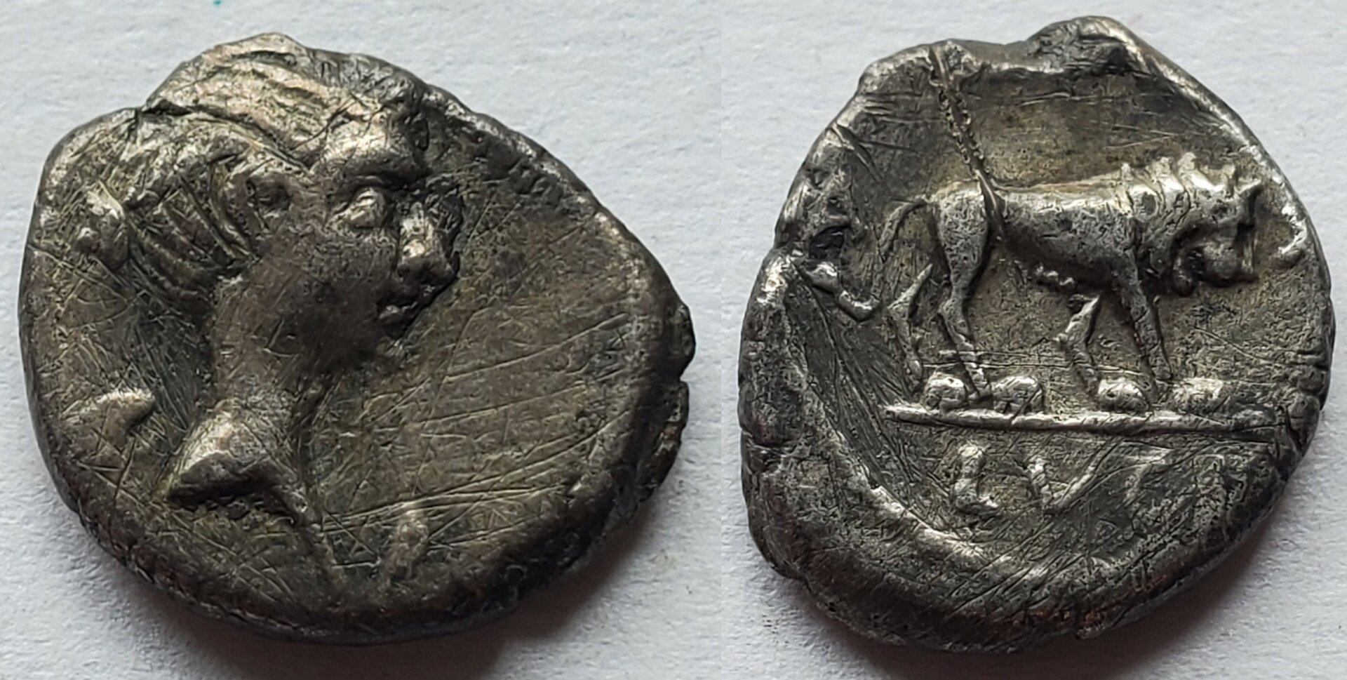 Fulvia AR quinarius under Antony Lugdunum.jpg