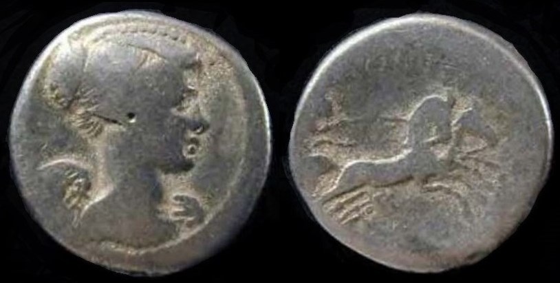 fulvia denarius.jpg