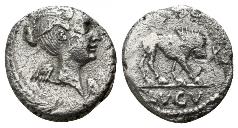 fulvia denarius.jpg