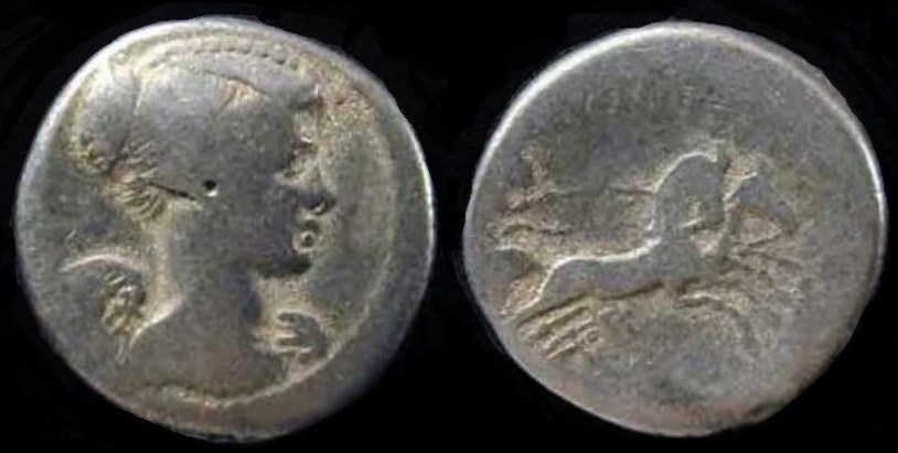 fulvia denarius.jpg