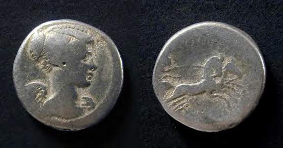 fulvia.JPG
