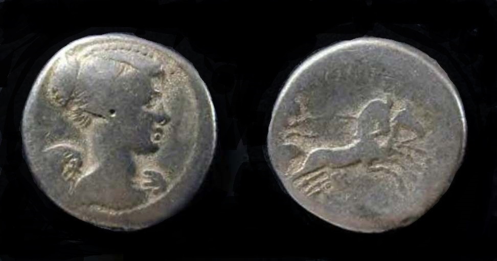 fulvia.JPG