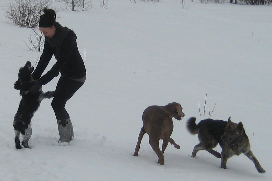fun lovin' pet owner.jpg