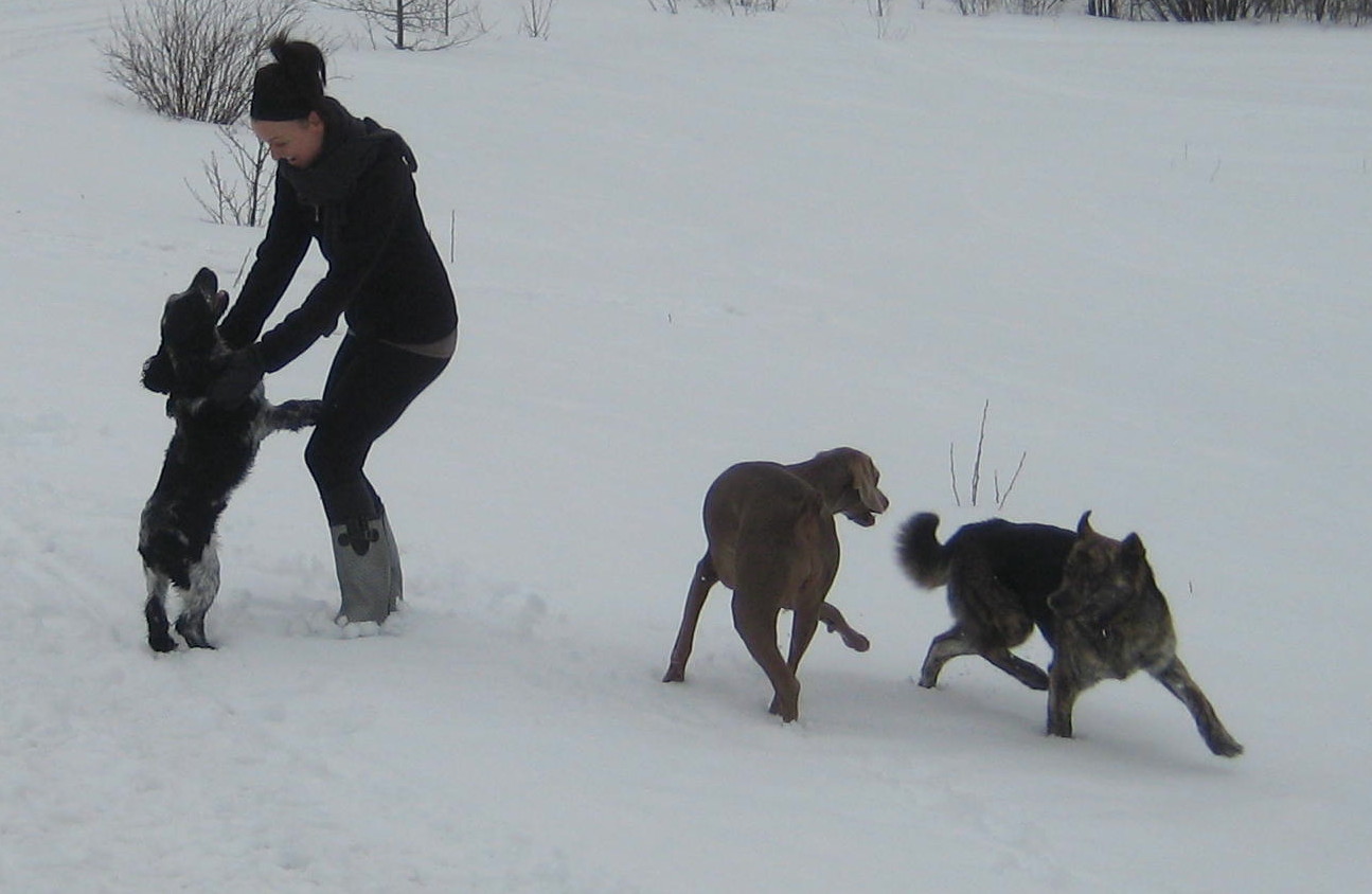 fun lovin' pet owners.jpg