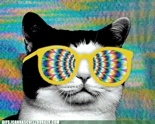 funny-animal-gifs-psychedelic-man.gif