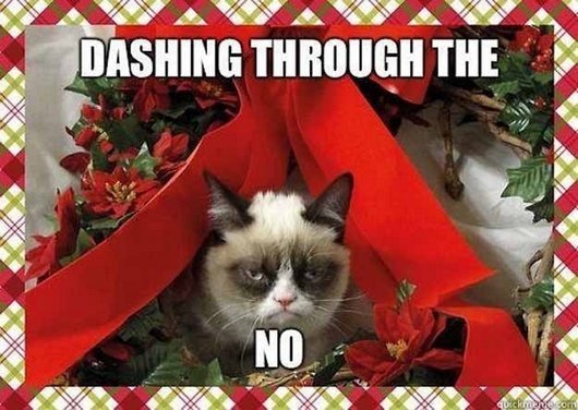 Funny-Merry-Christmas-06.jpg