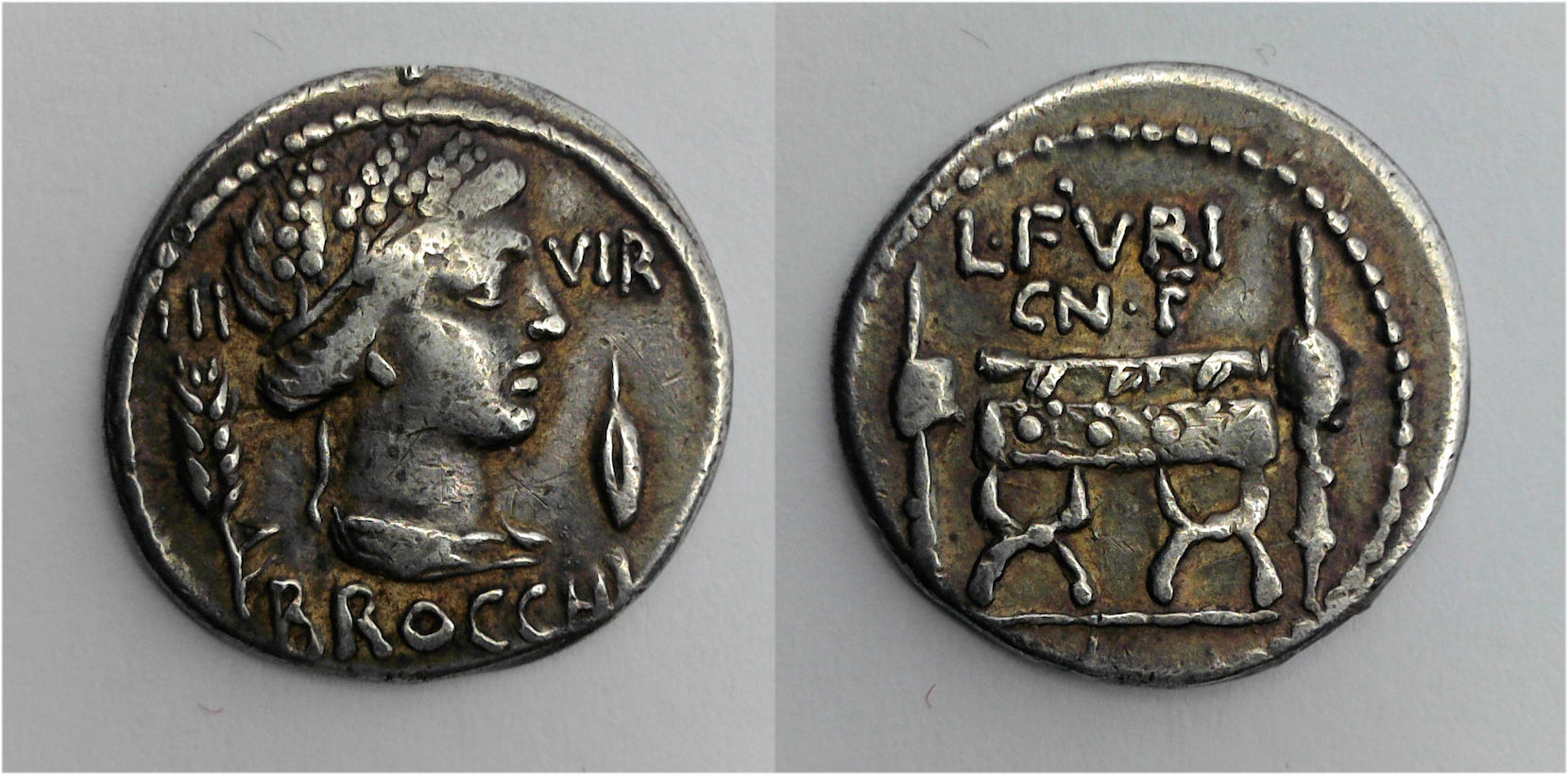 Furia denarius.jpg