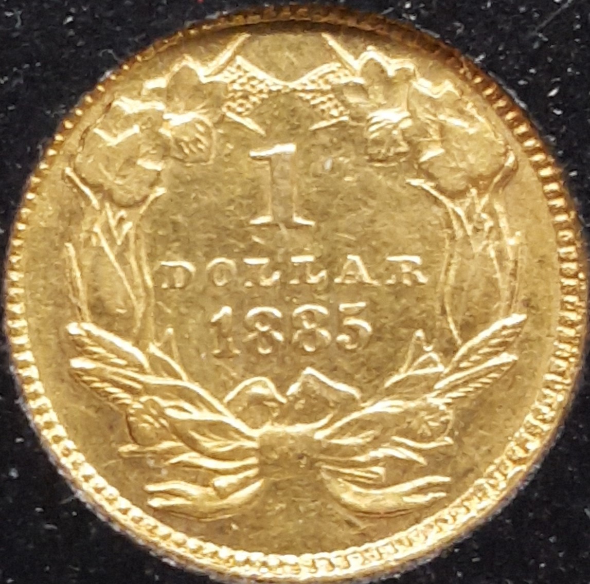 G$1 1885 rev.jpg