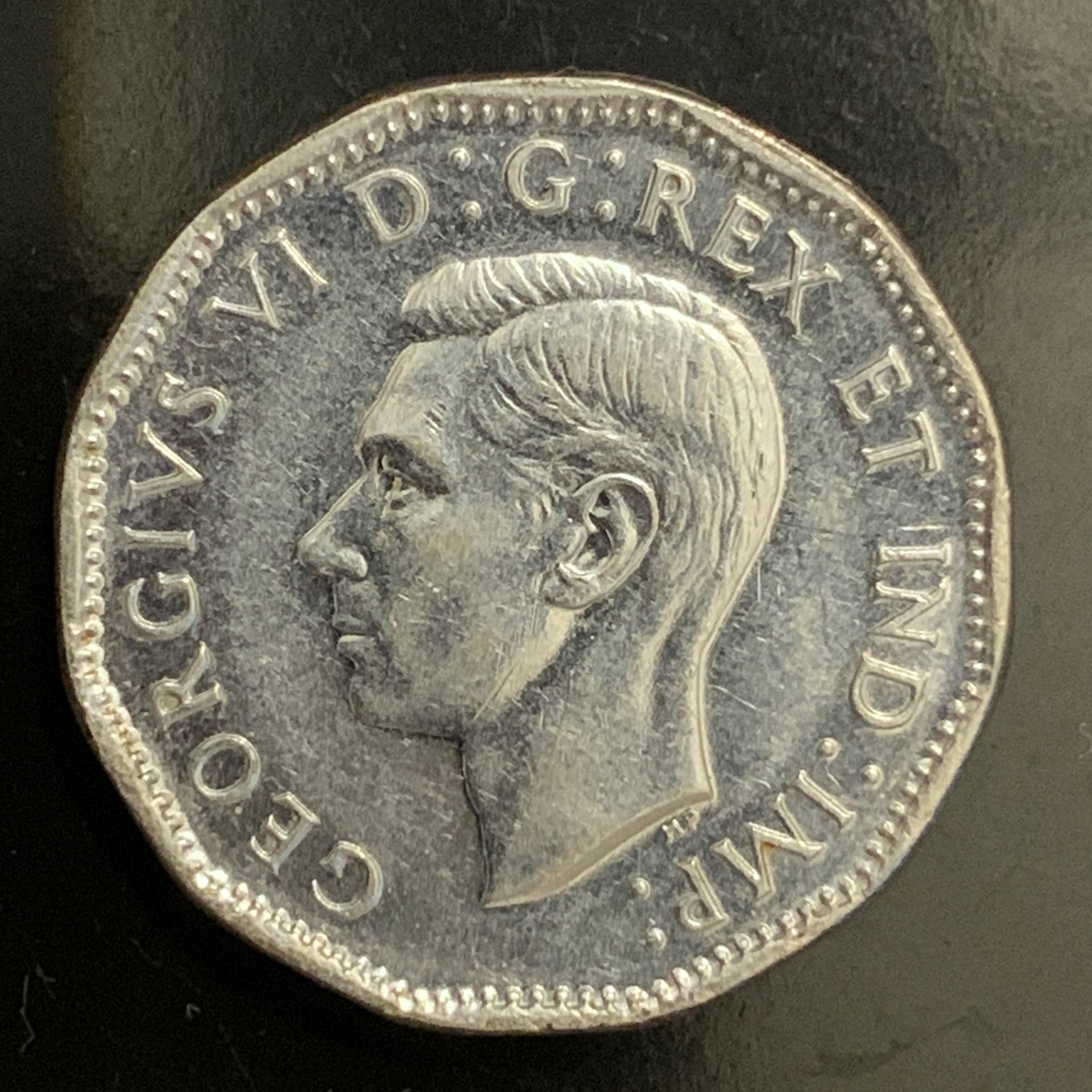 g.JPG