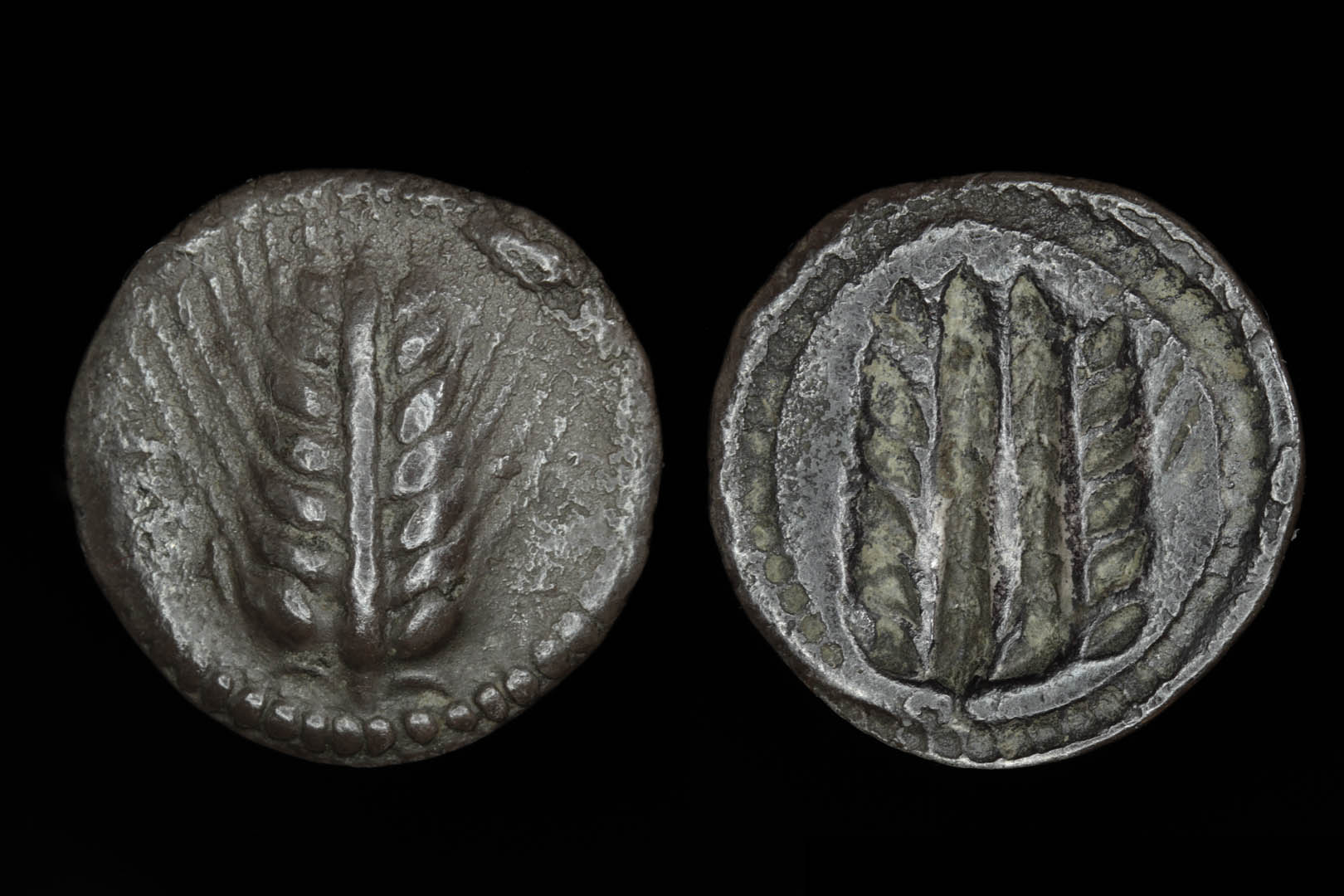 g00075fd3359.jpg