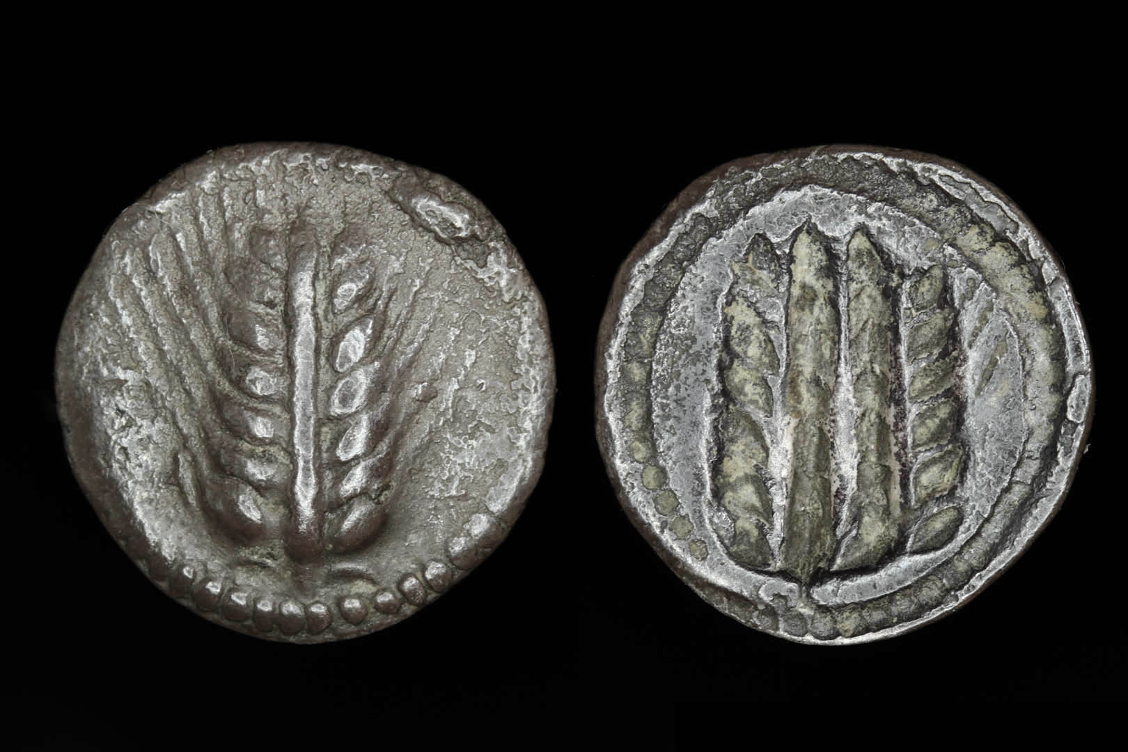 g00075fd3359.jpg