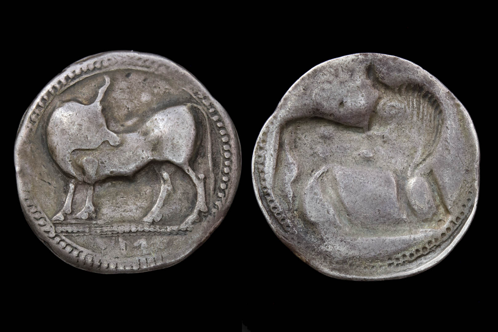 g00085fd3295.jpg