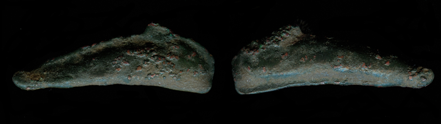 g006.jpg