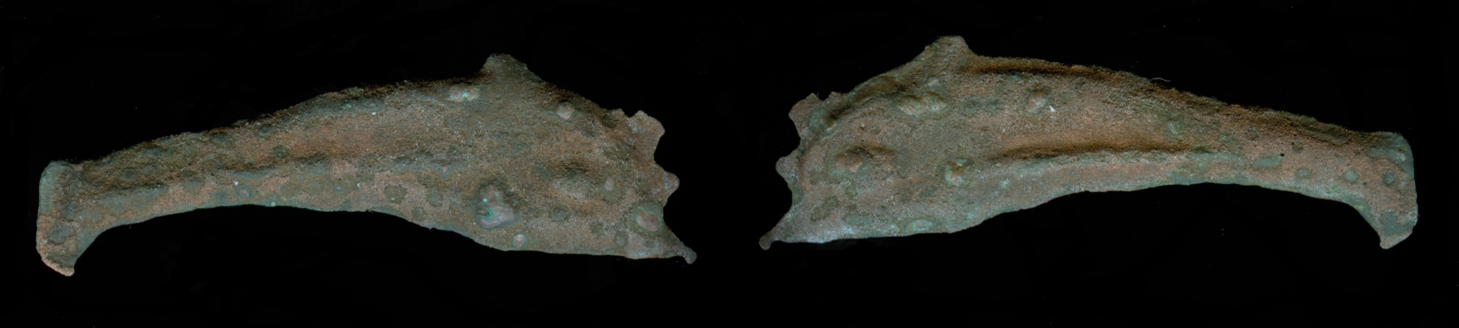 g009.jpg