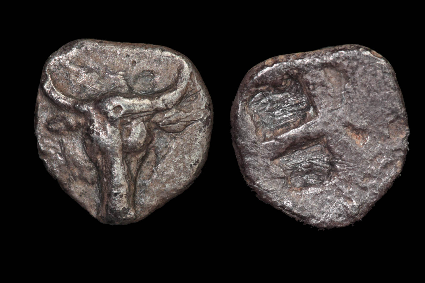 g01563fd3395.jpg