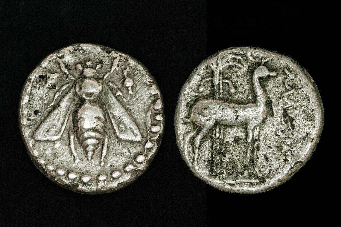 g01620bb0006.jpg