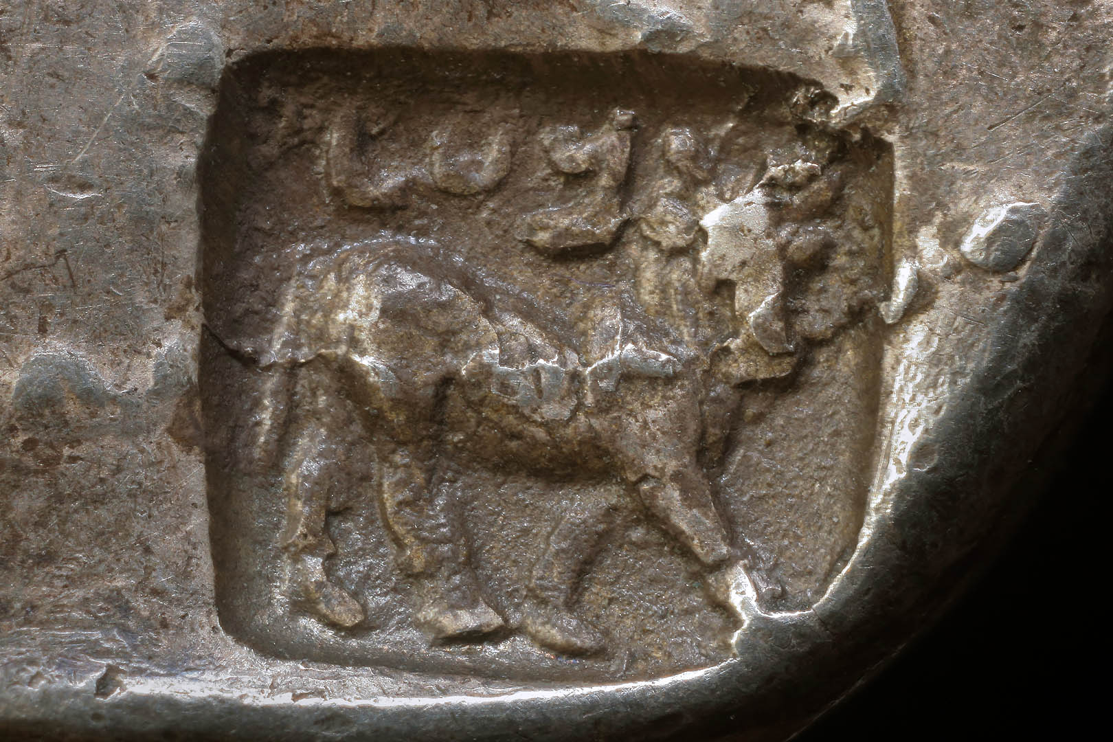 g01800fd0450inset.jpg
