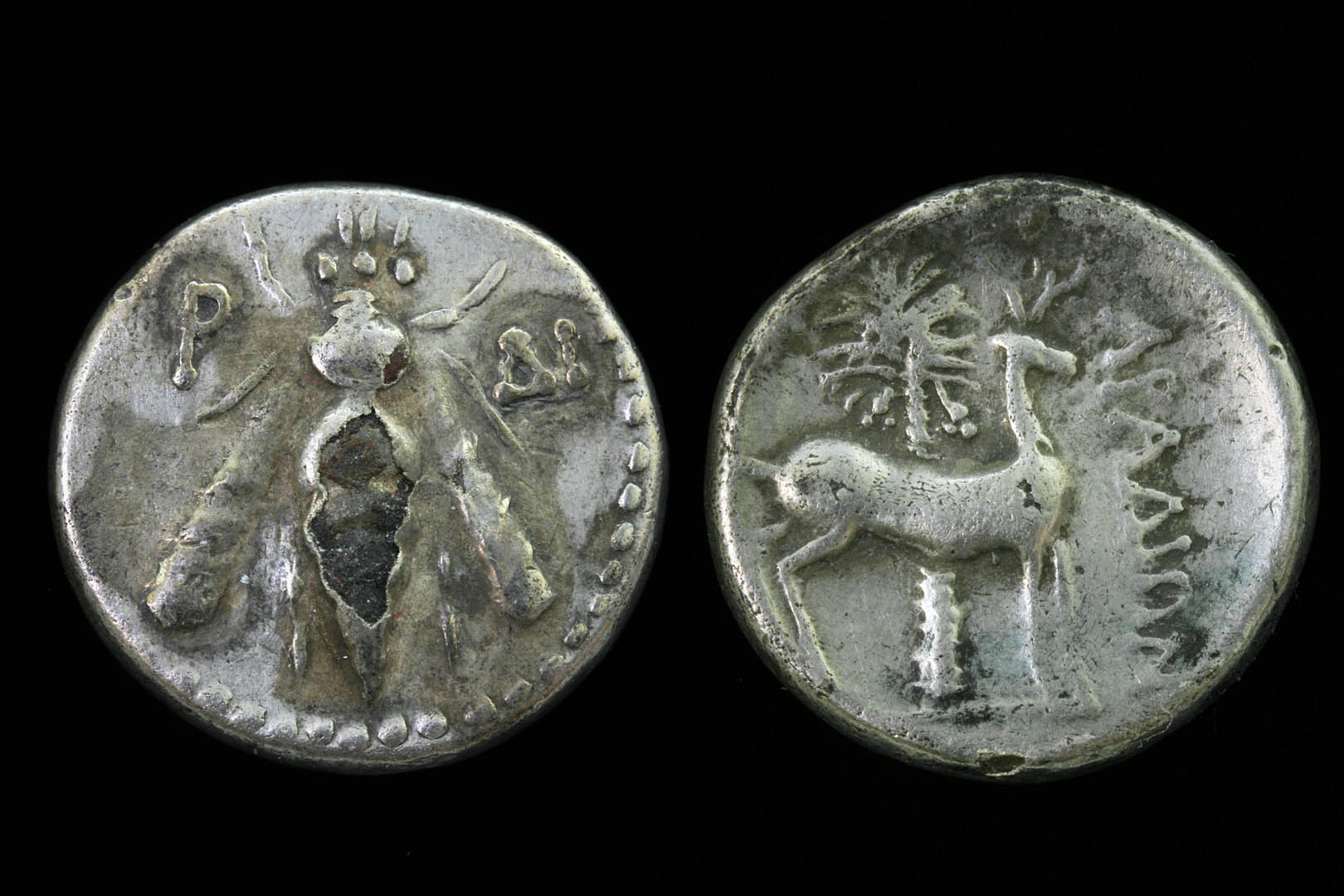 g01990bb0470.jpg