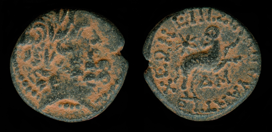 g026.jpg