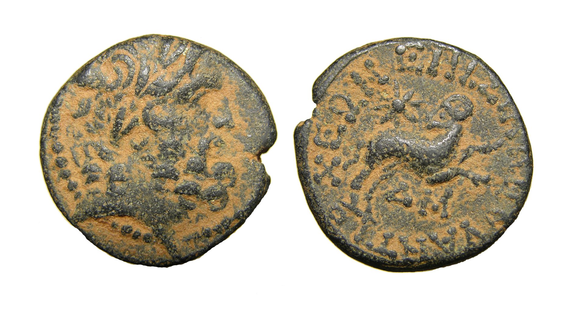 g026.jpg