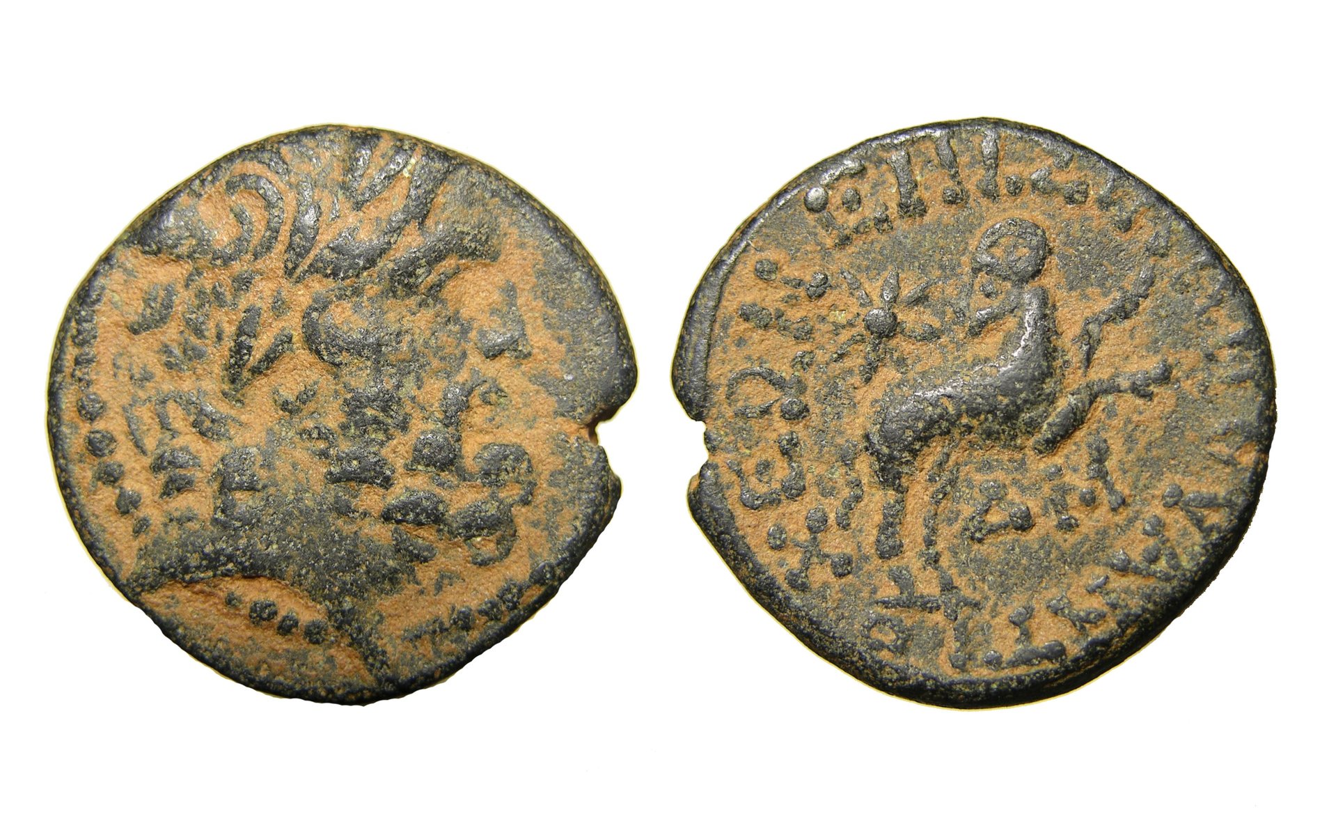 g026.jpg