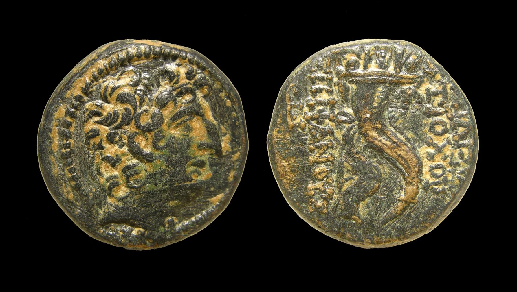 g046.jpg
