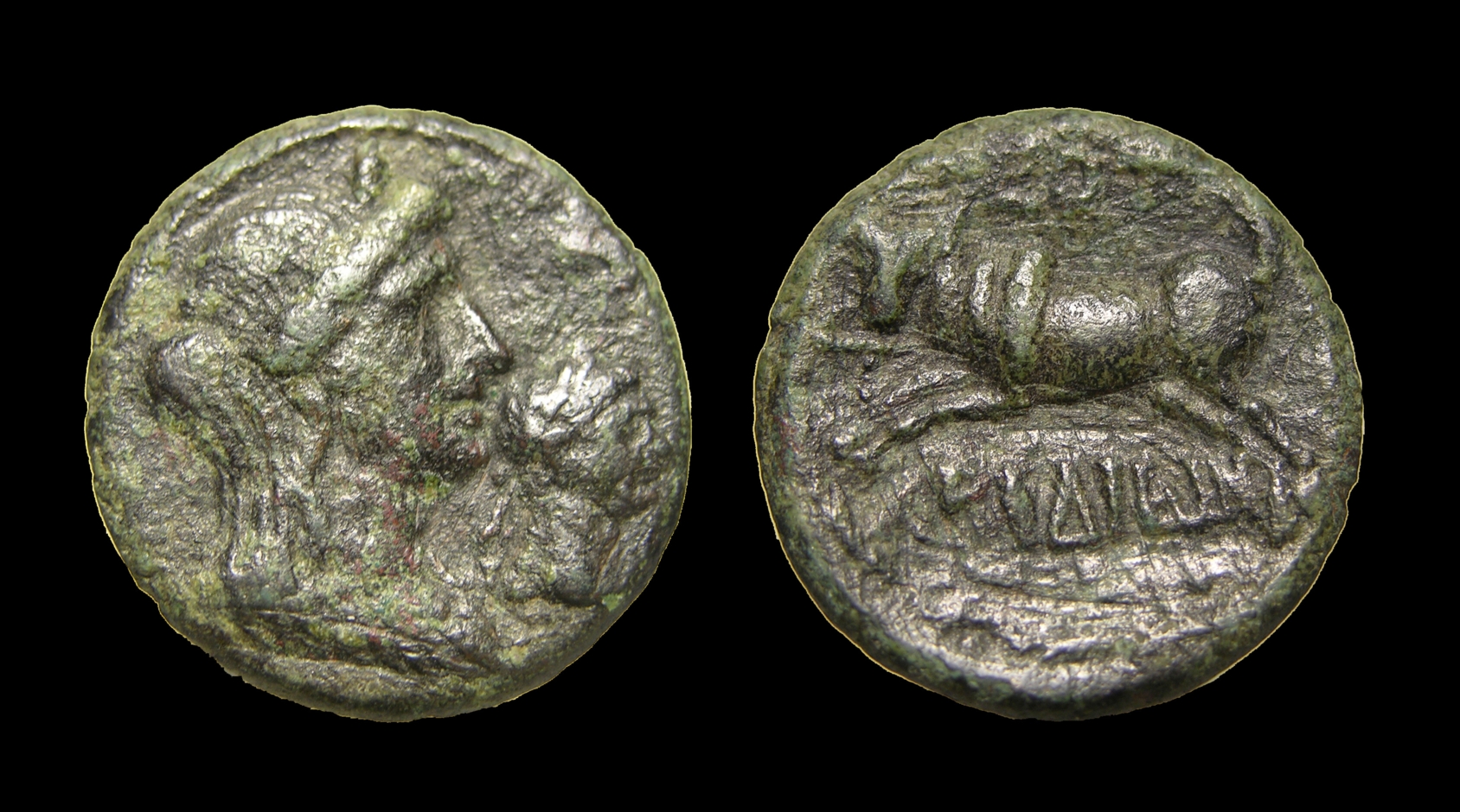 g059.jpg