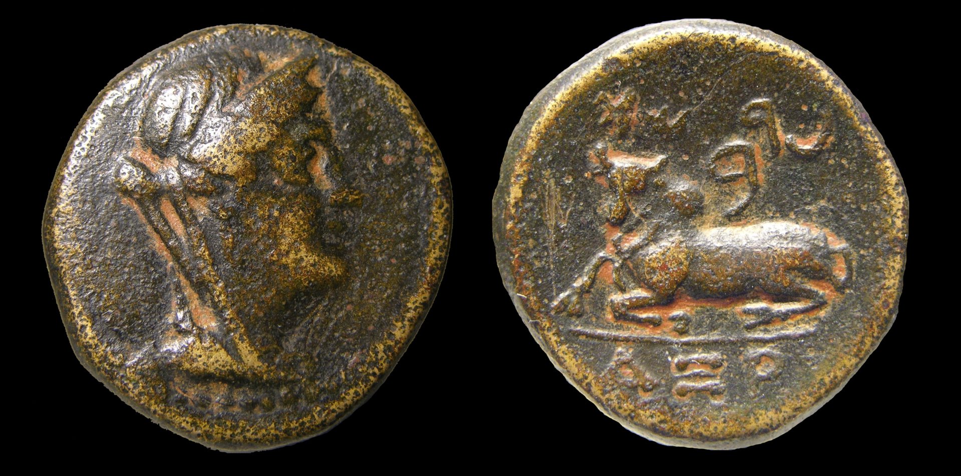 g070.jpg
