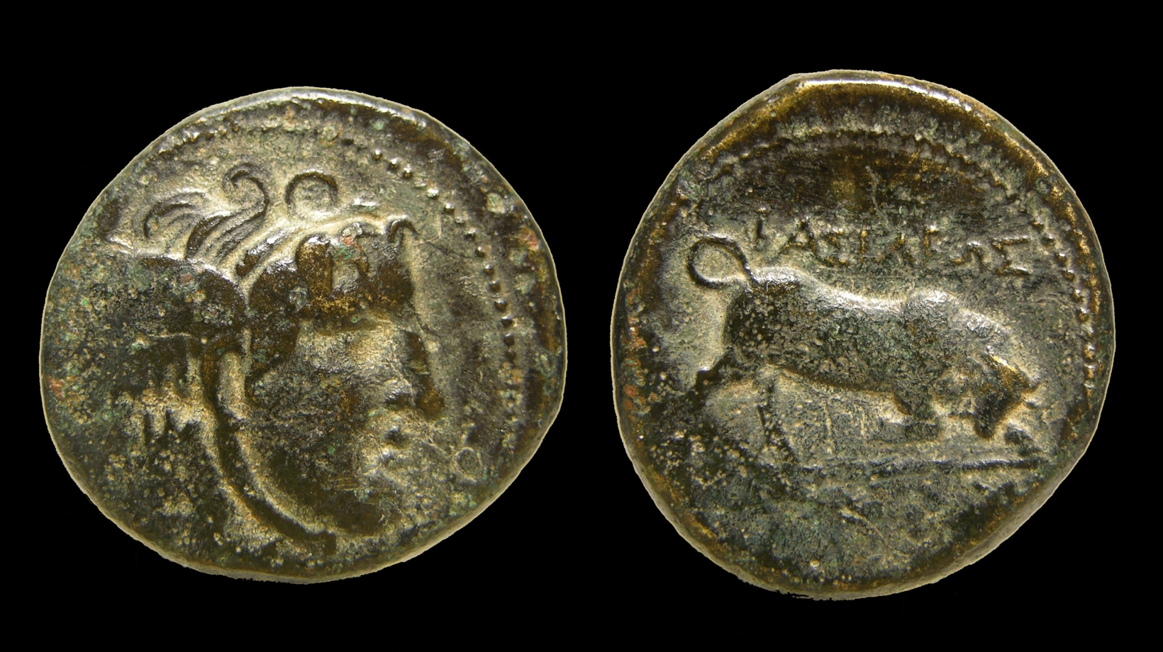 g081.jpg