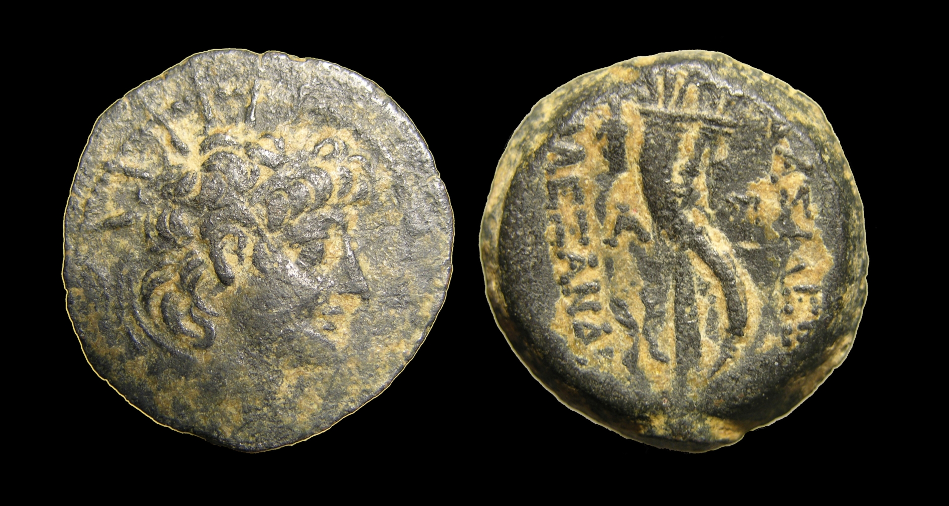 g095.jpg