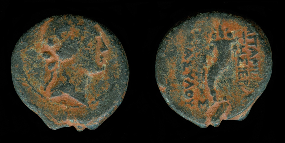 g103.jpg