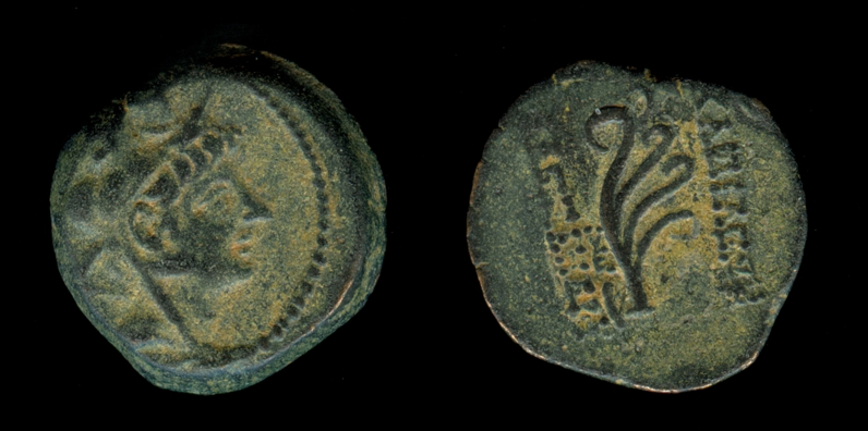 g114.jpg