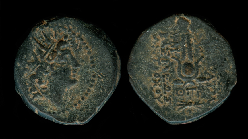 g143.jpg