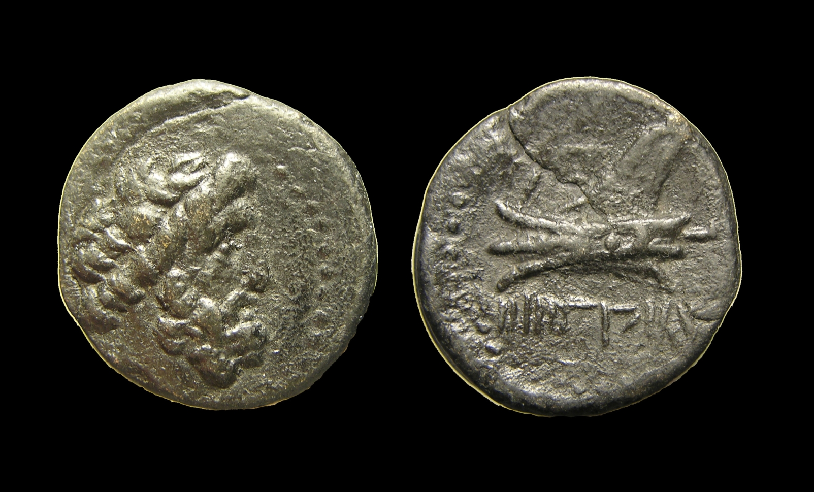 g148.jpg